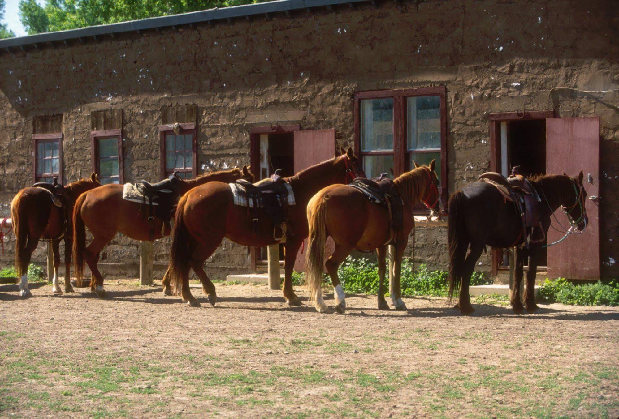 Отель The Ranch At Ucross Экстерьер фото